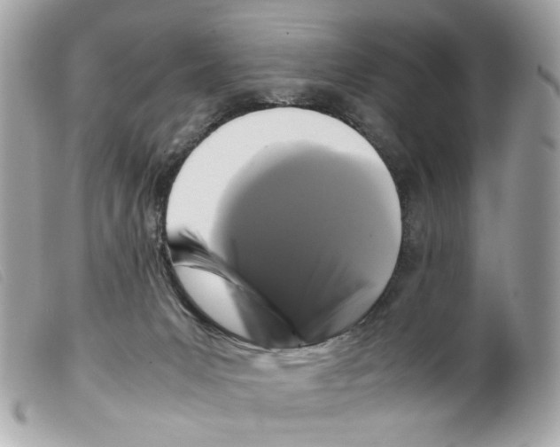 X0000099310031200805301204