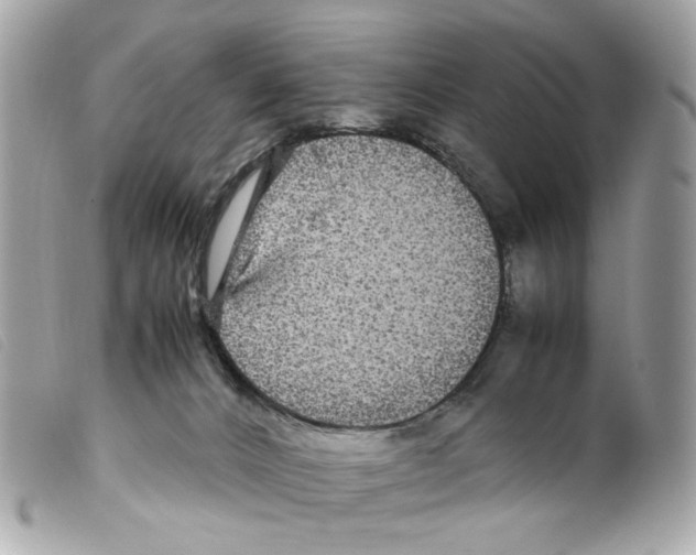 X0000099310032200805301204