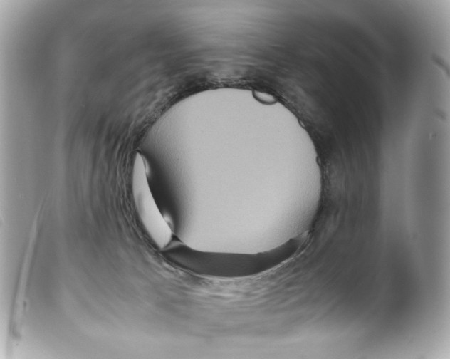 X0000099310033200805301204