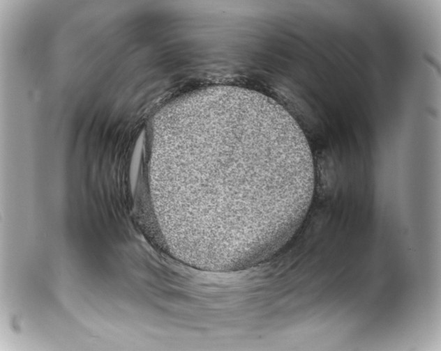 X0000099310034200805301204