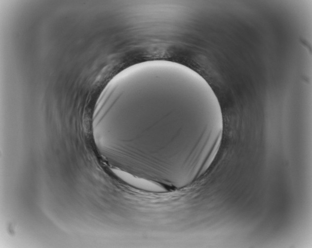 X0000099310035200805301204