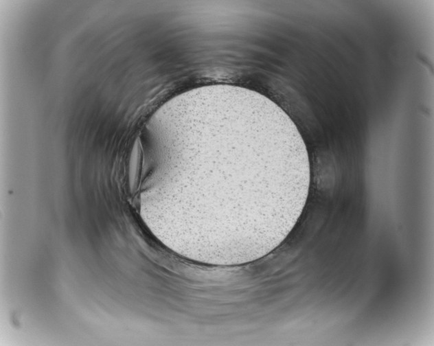 X0000099310036200805301204