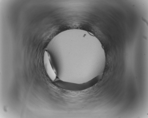 X0000099310037200805301204