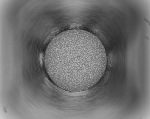 X0000099310038200805301204
