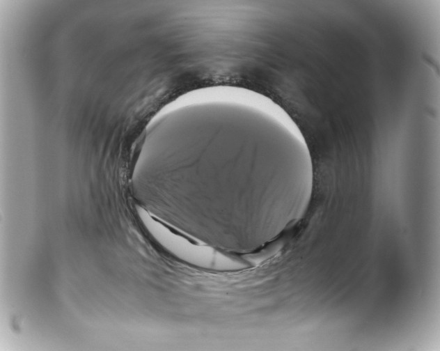 X0000099310039200805301203