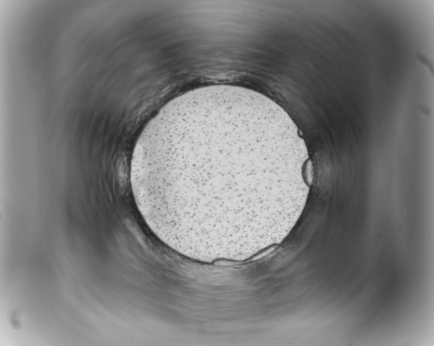 X0000099310040200805301203