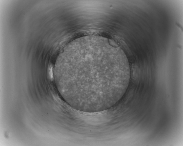 X0000099310042200805301203