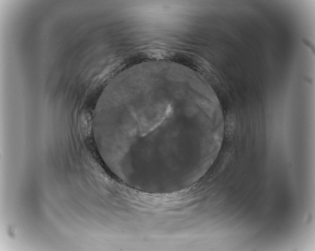 X0000099310043200805301203