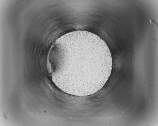 X0000099310044200805301203