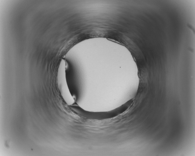 X0000099310045200805301203