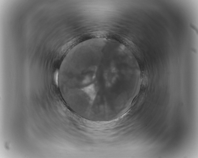 X0000099310047200805301203