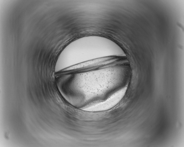 X0000099310048200805301203