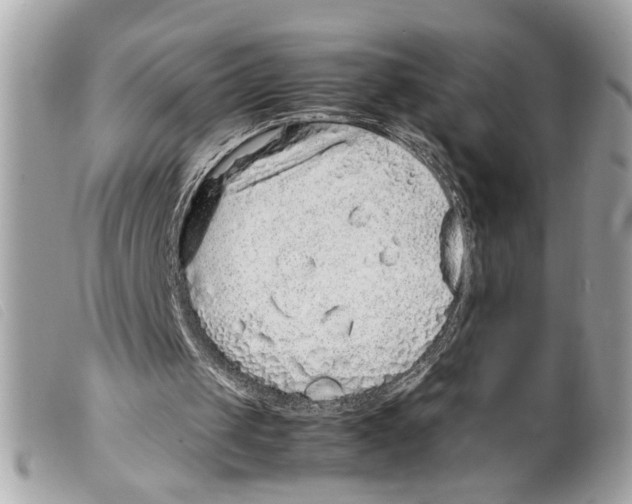 X0000099310049200805301203