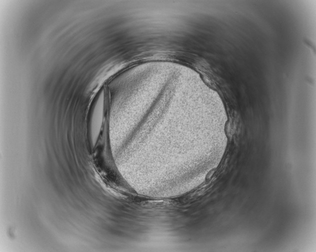 X0000099310050200805301203
