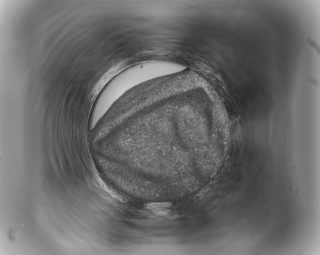 X0000099310051200805301203