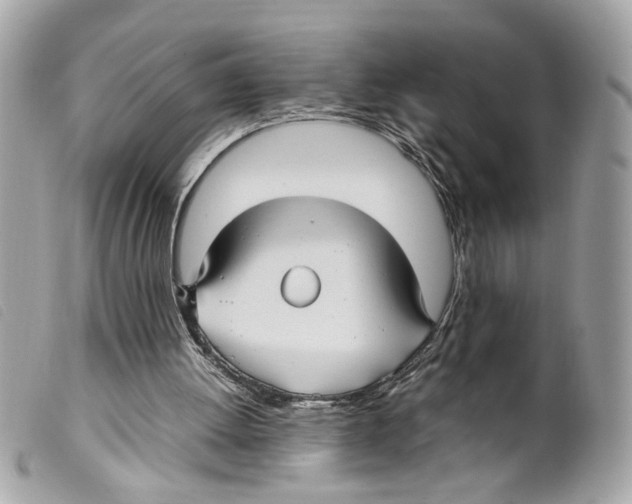 X0000099310052200805301203