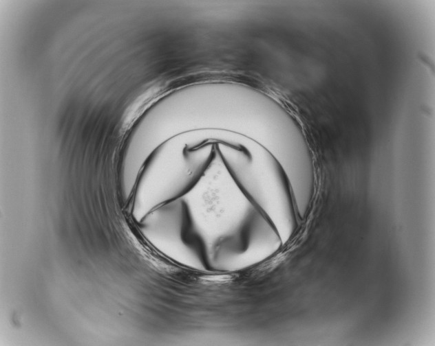 X0000099310053200805301203