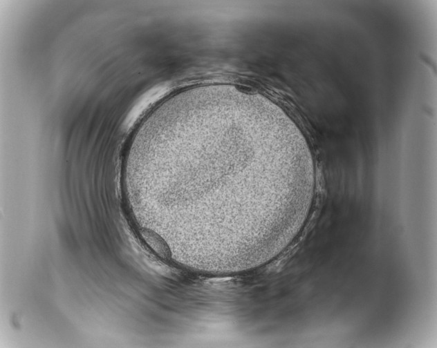 X0000099310054200805301203