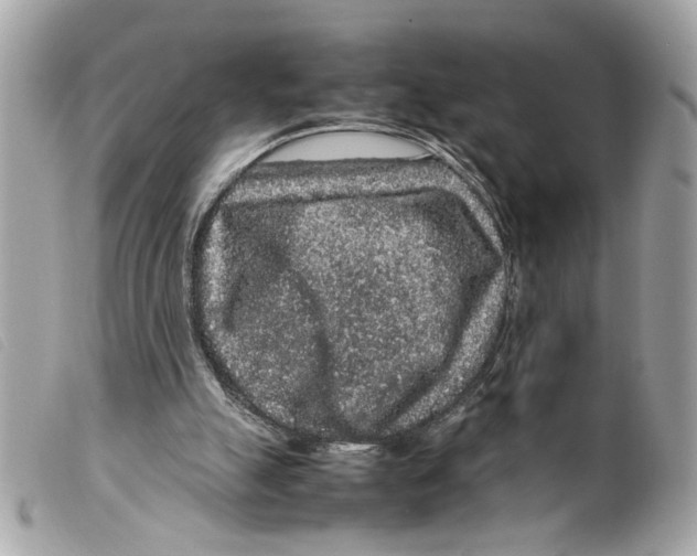 X0000099310055200805301203
