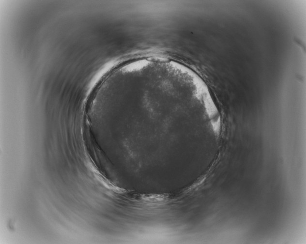 X0000099310056200805301203
