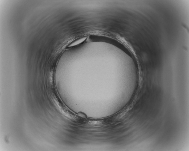 X0000099310057200805301203