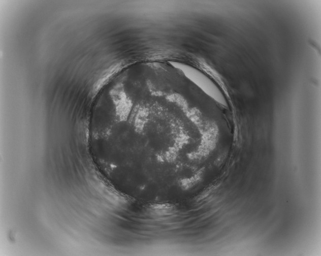 X0000099310059200805301203