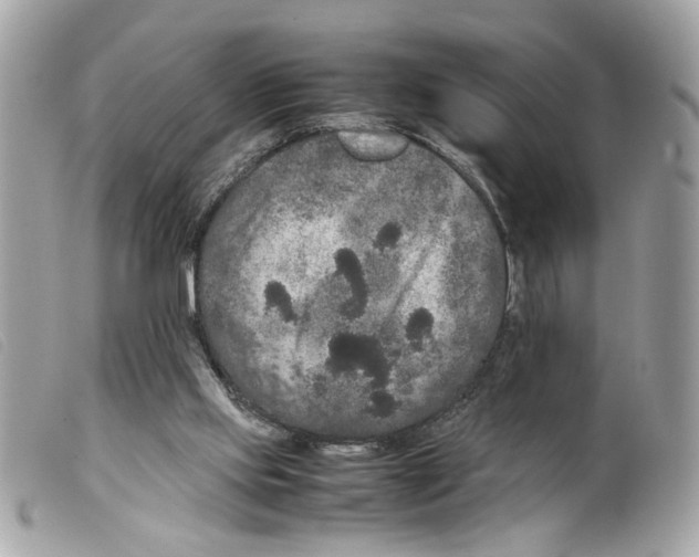 X0000099310061200805301203