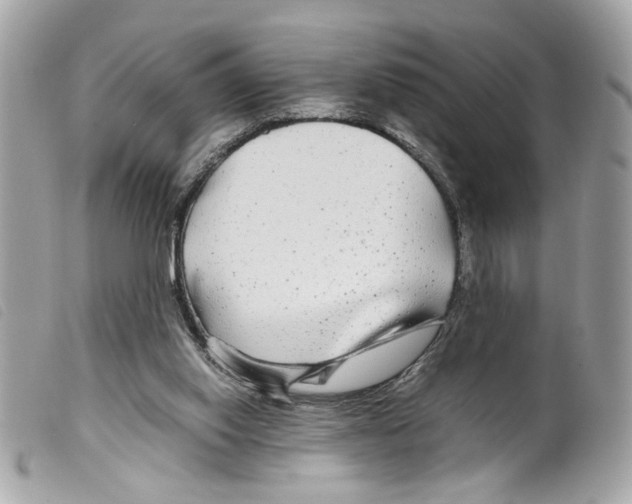 X0000099310062200805301203