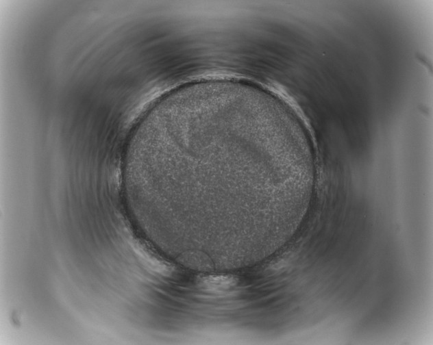 X0000099310063200805301203