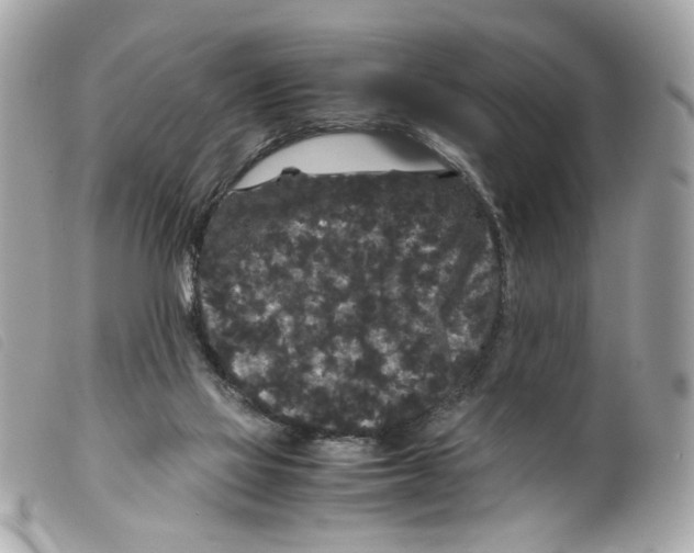 X0000099310069200805301203