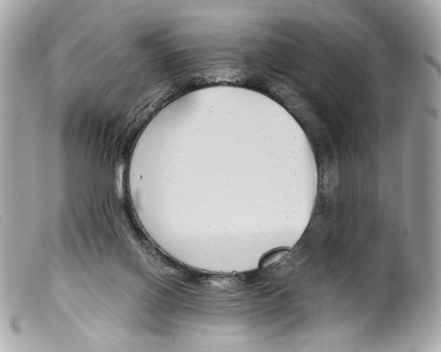 X0000099310070200805301203