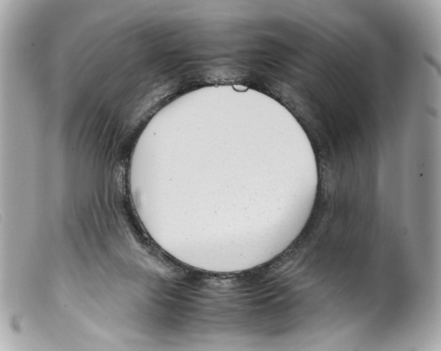 X0000099310071200805301203