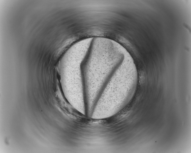 X0000099310072200805301203