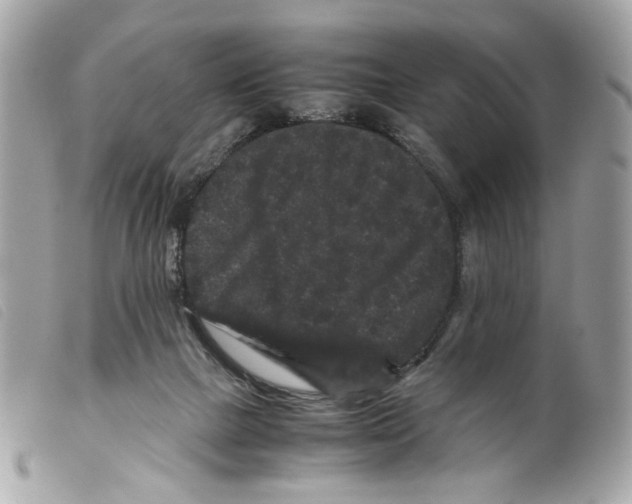 X0000099310073200805301203