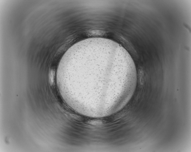 X0000099310075200805301203