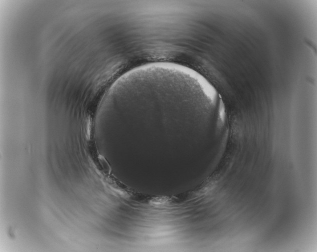 X0000099310076200805301203