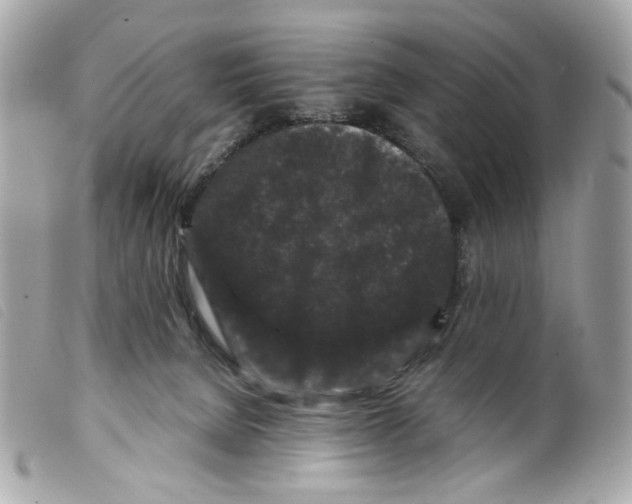 X0000099310080200805301203