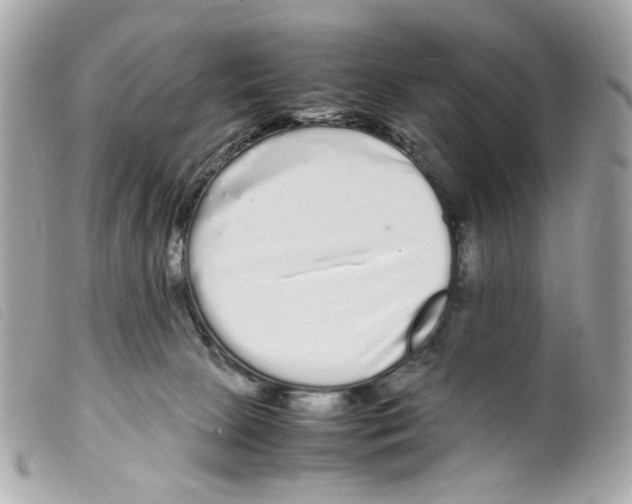 X0000099310081200805301203