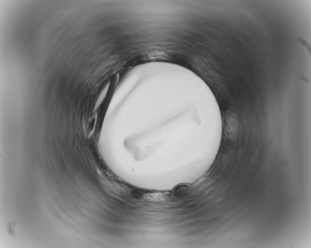 X0000099310082200805301203