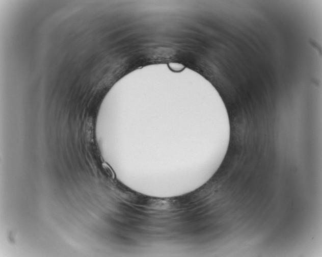 X0000099310083200805301203