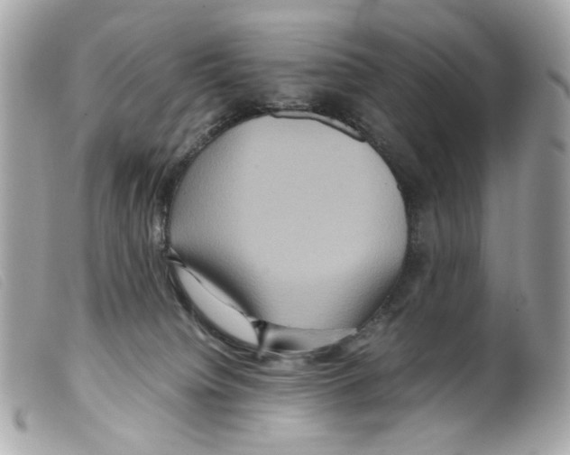 X0000099310084200805301203