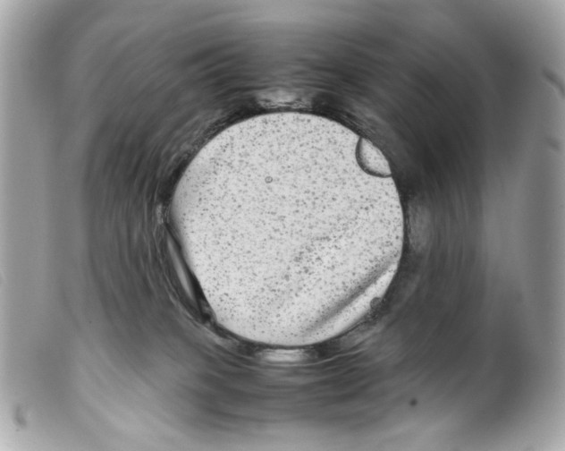 X0000099310085200805301203
