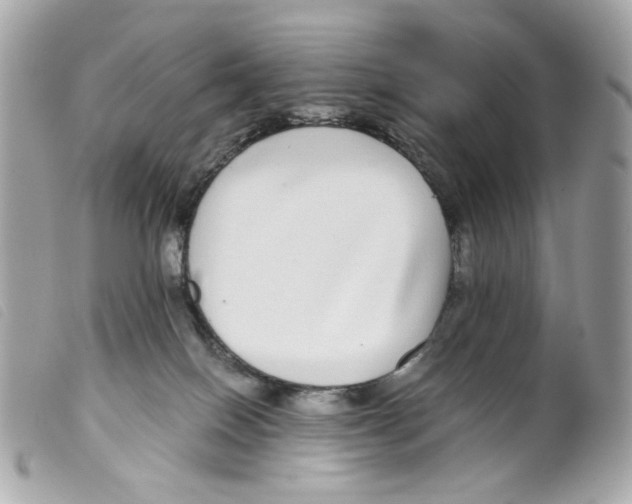 X0000099310086200805301203