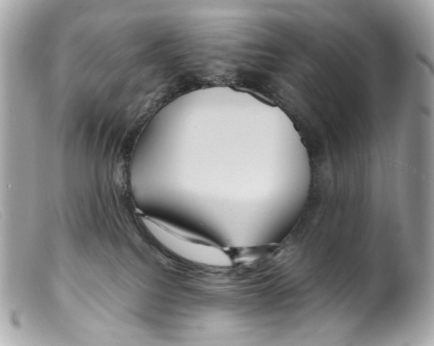 X0000099310088200805301203
