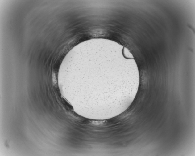 X0000099310089200805301203