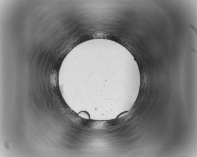X0000099310090200805301203