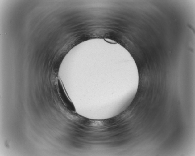X0000099310091200805301203