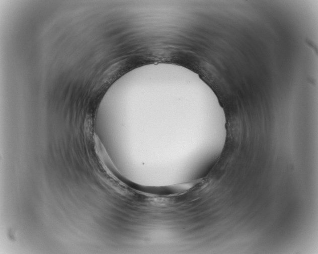 X0000099310092200805301203