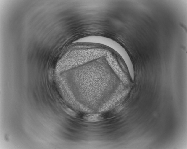 X0000099310093200805301203