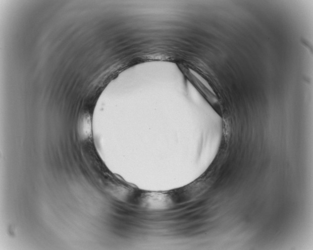 X0000099310095200805301203